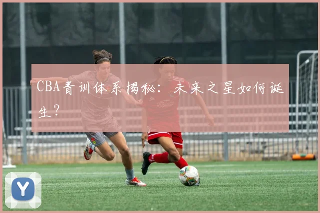 CBA青训体系揭秘:未来之星如何诞生?